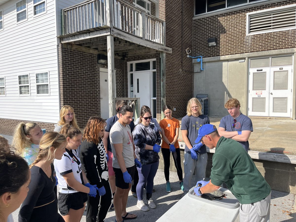 Rachel Noble tweet media