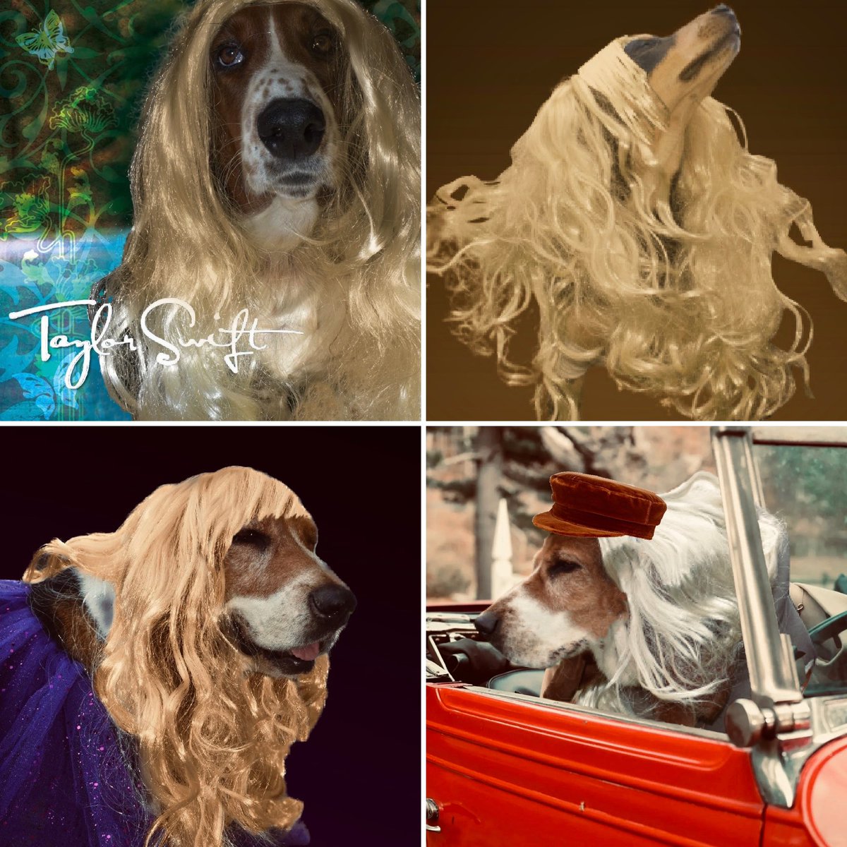 Kayla_moore18's tweet photo. @taylornation13 #ANightmareDressedLike @taylorswift13 album covers!! @taylornation13 https://t.co/z3XPIN7acA