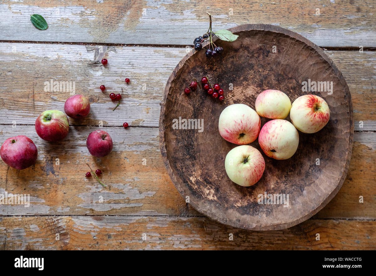 binorable's tweet photo. #AlamyPOTM #AlamyAutumnal
IDs: H8DNRE, WACCTG, WACCT6, WC30HA
@AlamyContent https://t.co/LGhu6skP0s