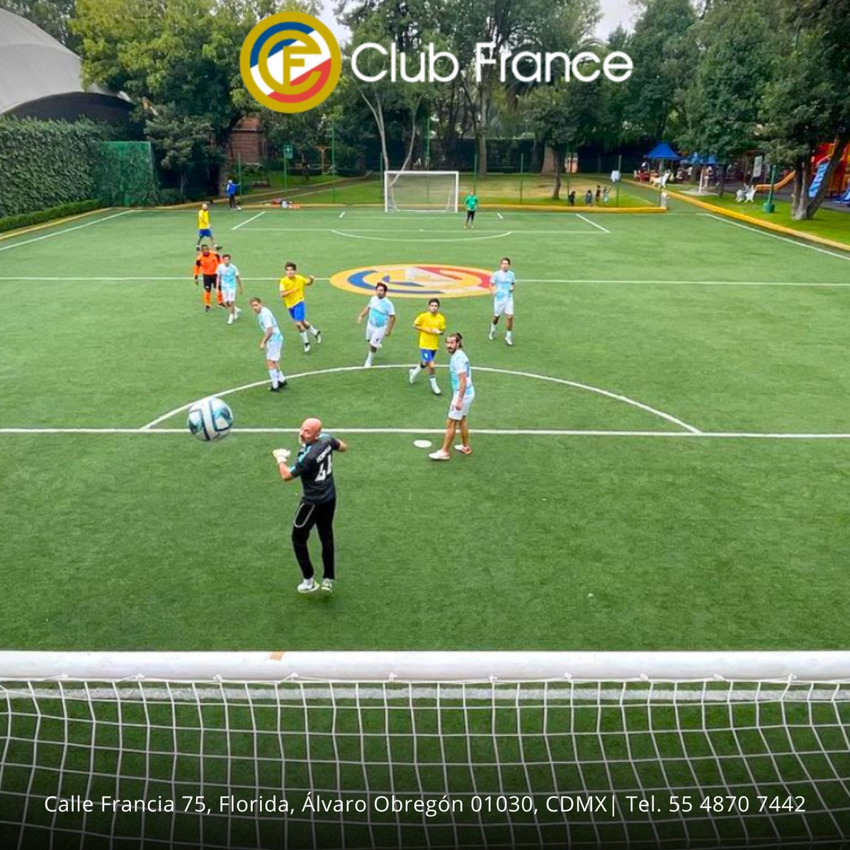 ClubFranceMx's tweet photo. Club France 📷
Uno de los espacios mas importantes para el desarrollo del deporte la Ciudad de México.
Forma parte de nuestra comunidad deportiva.
Conócenos: https://t.co/O5CaKQnOej
📷Calle Francia 75, Florida, Álvaro Obregón 01030, CDMX | Tel. 55 4870 7442
#Deportes #clubfrance https://t.co/2Wqb8vF4IJ