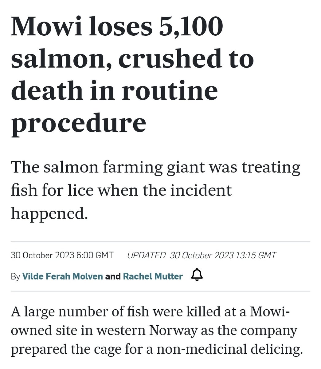 The belly of the beast, and they still can't get this right... 
#animalcruelty #salmonfarms
#Norway #factoryfarms