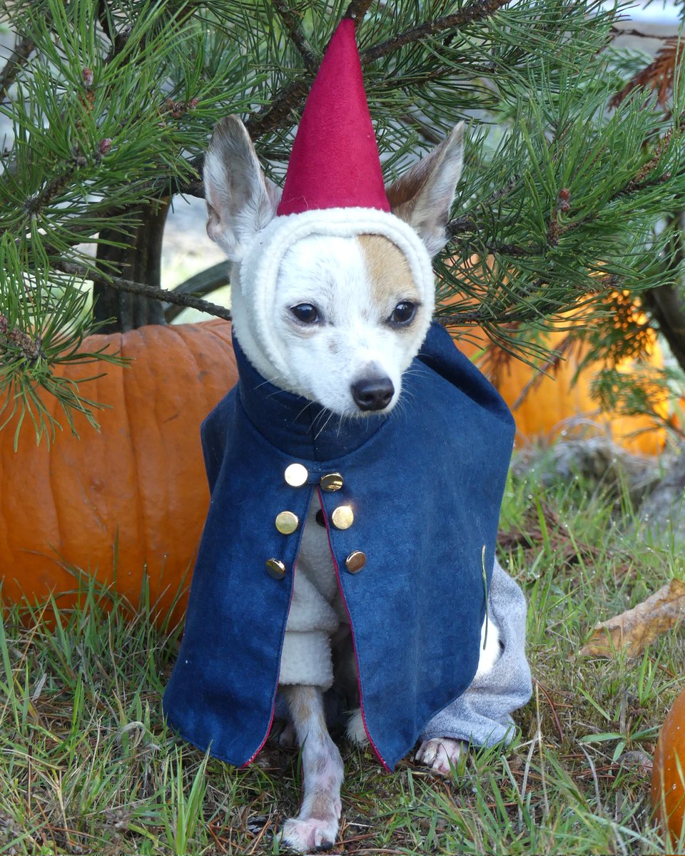 sproutpups's tweet photo. Happy Halloween! 🎃
#Overthegardenwall https://t.co/BrPbTnm48U