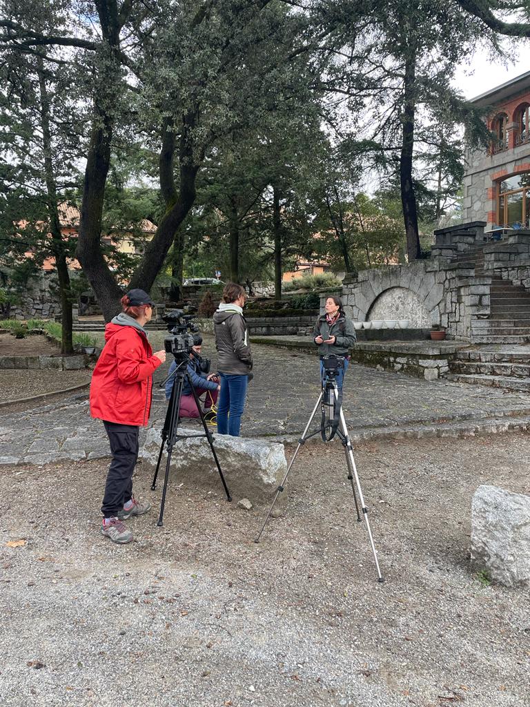 Catherine Howley tweet media