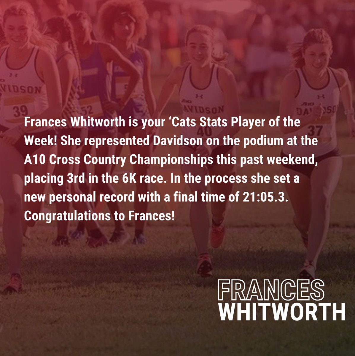 'Cats Stats tweet media