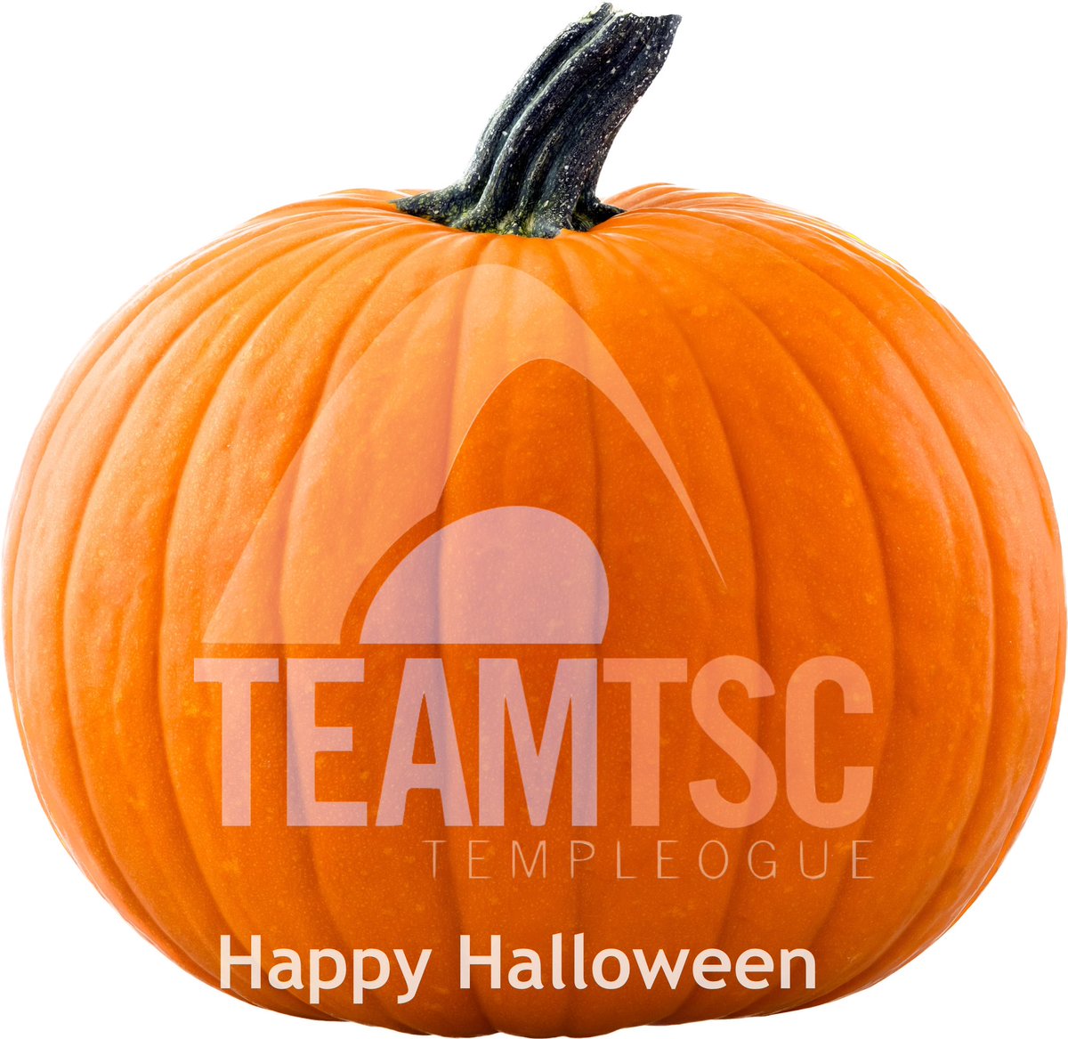 TEAMTSCSWIM's tweet image. Happy Halloween 
#FunFastFearless
