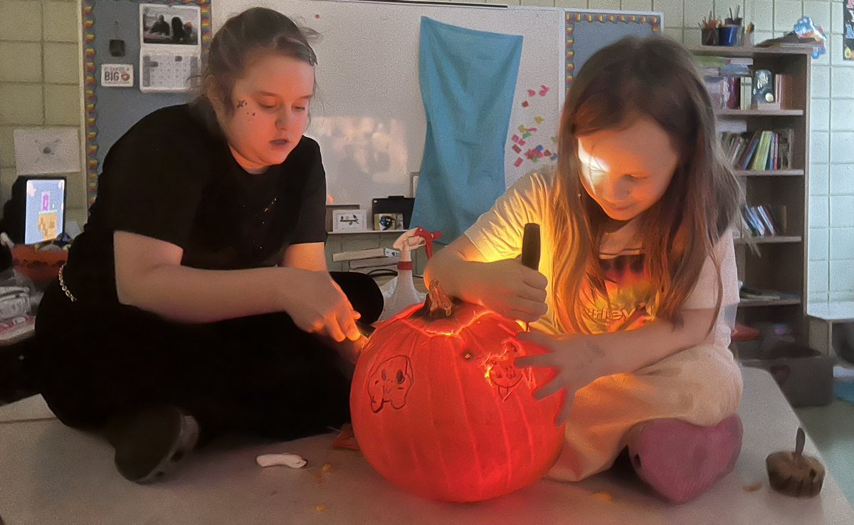 Mark Barry (STEM Education) tweet media