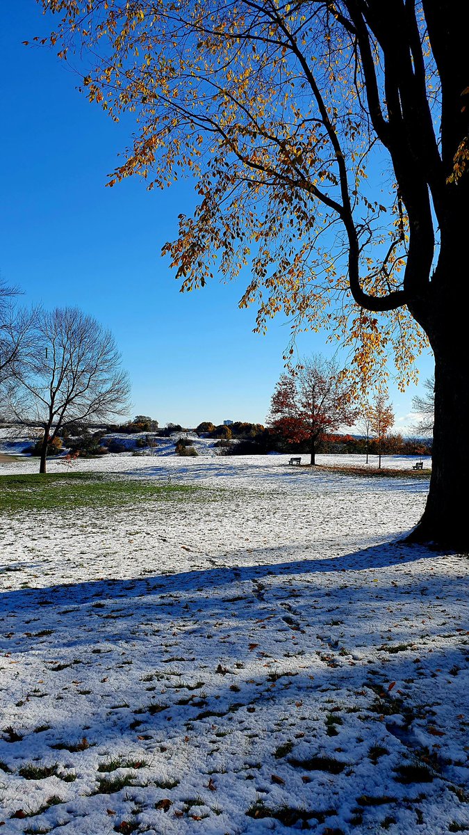 Clémence Fontanive tweet media