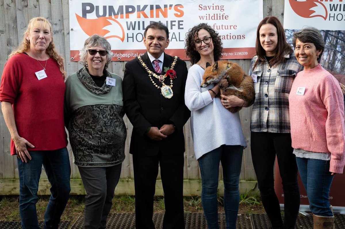 Pumpkin’s Wildlife Hospital tweet media