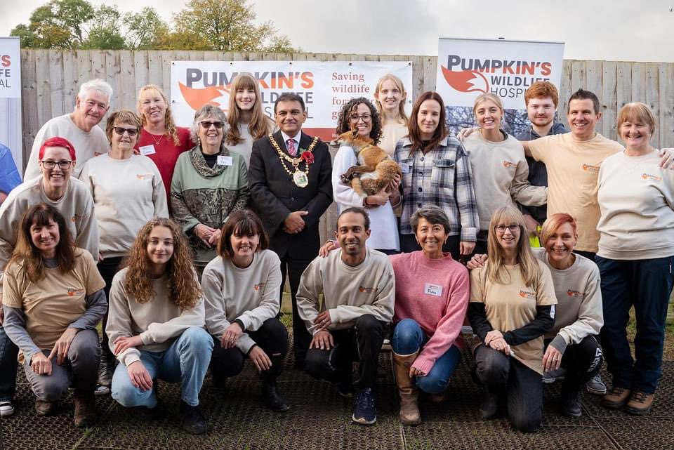 Pumpkin’s Wildlife Hospital tweet media