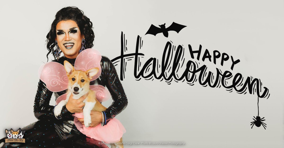 OmahaCorgis's tweet photo. Happy Halloween, everypawdy!! 🐶 Show us pics of your pup's costumes, please!! 🎃🦇 https://t.co/hZxGkgHYwt