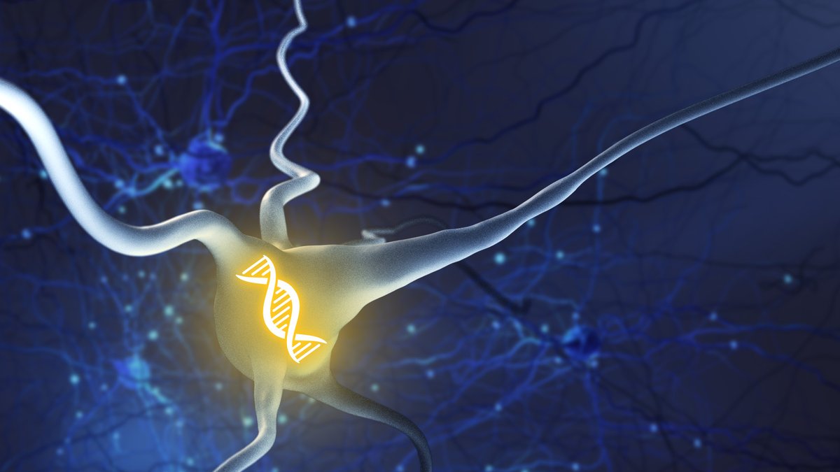 Double-stranded RNA protects the brain against infection, but also makes damaging inflammation more likely, according to new NIH-funded research. Learn about the implications for #ALS, #Alzheimers and other conditions on the #NIH Director’s Blog: go.nih.gov/frruzql