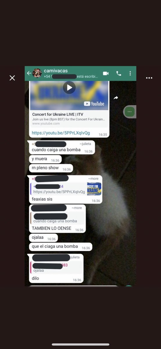 sunflowerclips's tweet image. 