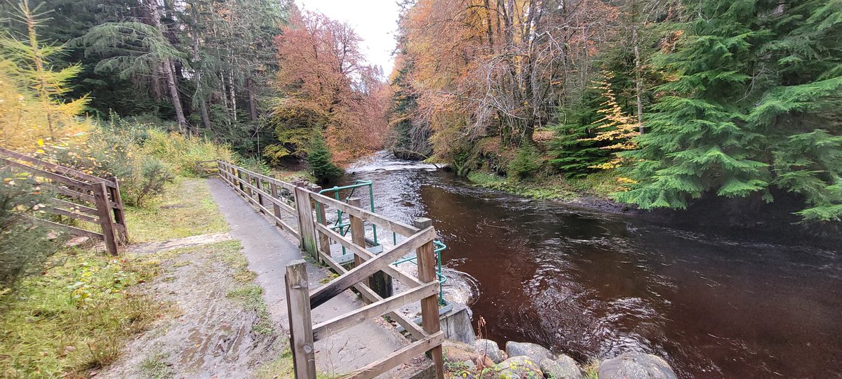 cromartyboard's tweet photo. Today saw the salmon fishing season come to an end on the rivers in Easter Ross. It is an offence to fish for salmon and brown trout during the annual close time. Board staff were out patrolling  today and these patrols will continue despite the fishing season having  ended. https://t.co/Xp0aBlCvQ0