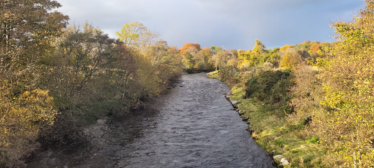 cromartyboard's tweet photo. Today saw the salmon fishing season come to an end on the rivers in Easter Ross. It is an offence to fish for salmon and brown trout during the annual close time. Board staff were out patrolling  today and these patrols will continue despite the fishing season having  ended. https://t.co/Xp0aBlCvQ0