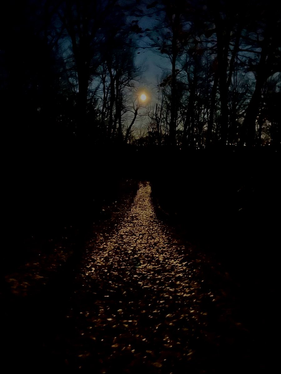 The Moon was but a chin of gold
A night or two ago,
And now she turns her perfect face
Upon the world below.
-Emily Dickinson
The Hunter's Moon illuminating a golden pathway in Gatineau Park.
#ScareYourWeather #StormHour #HappyHalloween #Ottawa