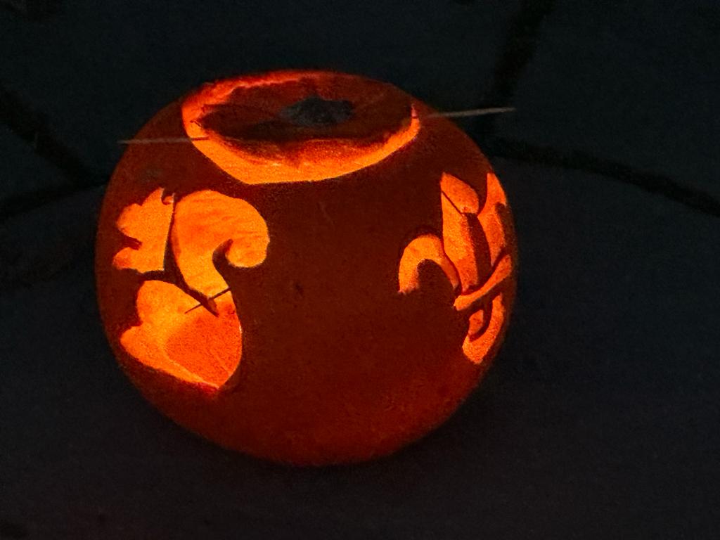 11thBofA's tweet photo. Squirrels had a Halloween night with a difference.  Thanks again to @autismprovision  and @StModansHS for allowing us to use the Tiny Farm to welcome our fury friend Simon Cowell (aka the owl) from The Alpaca Trekking Centre #Halloween2023 #outdoors @ScoutsScotland https://t.co/rNEFyCEvVv