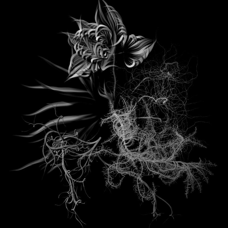 phyeion's tweet photo. Happy haunting Halloween, with Botanical ghosts no. 58, 127, 290, and 335 by @solaas. What's your favourite? 🔗👇#generativeart #fxhash https://t.co/Z0l9xoGwIP