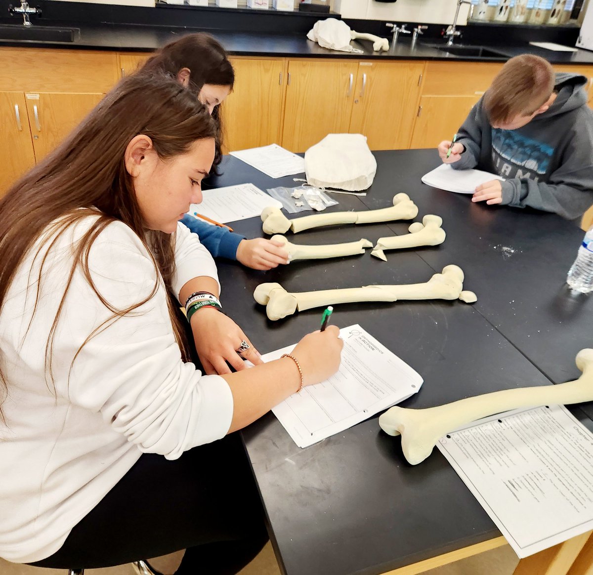 A&P students completed Bone Fractures today. Thank @PerryInitiative for this amazing curriculum! #ebshare