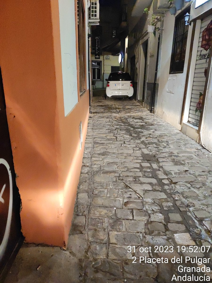Así todos los días. Si parking particular en una calle peatonal. <a href="/PoliciaGr/">Policía Local de Granada</a> y <a href="/aytogr/">Ayuntamiento de Granada</a> . Ya está bien. Actúen.