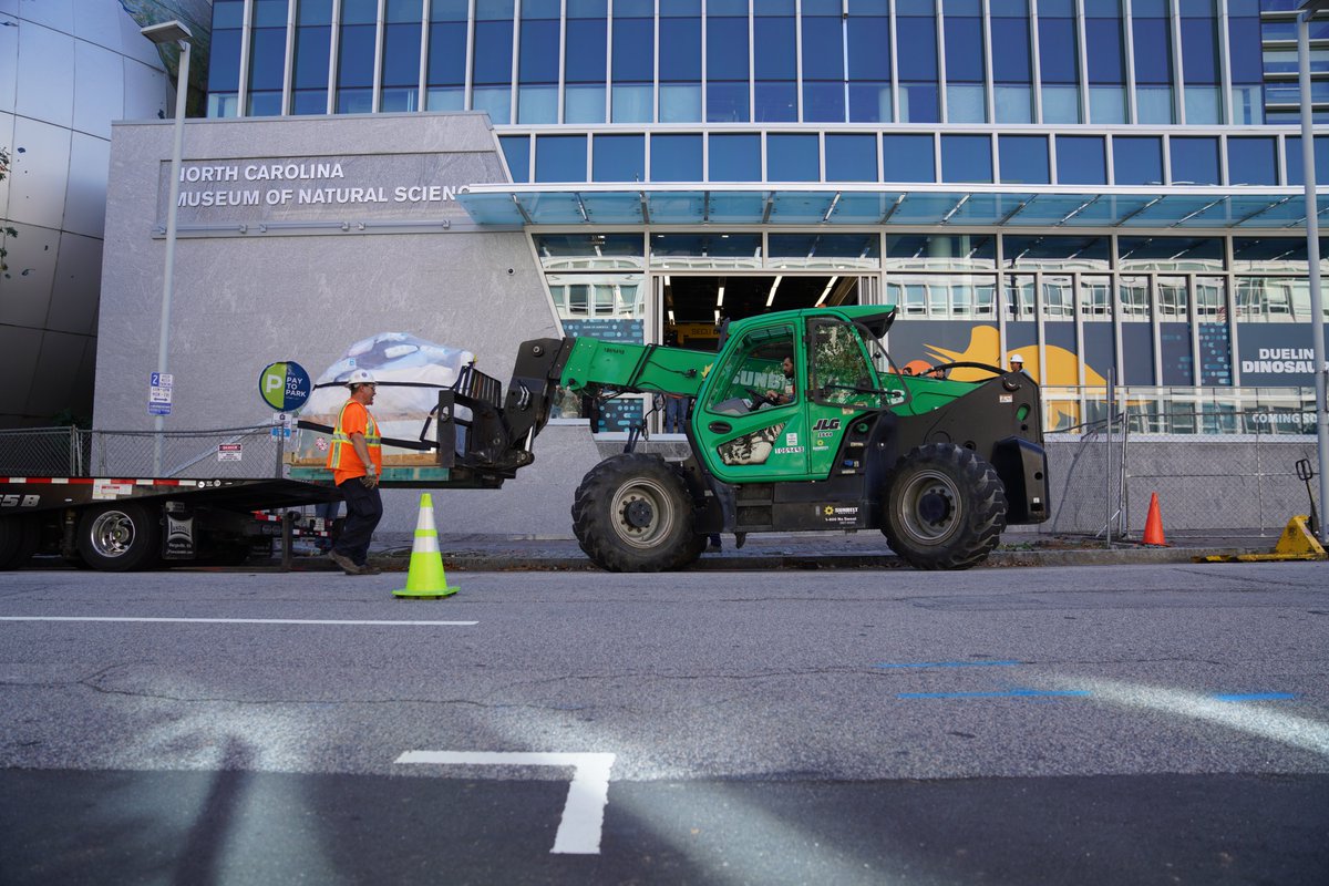 Lindsay Zanno tweet media