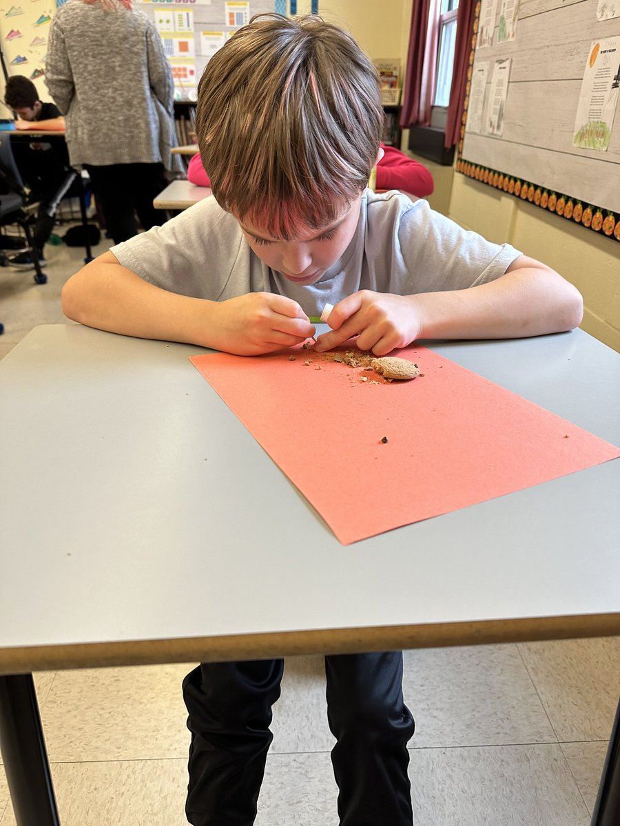 Ms. Mitchell tweet media