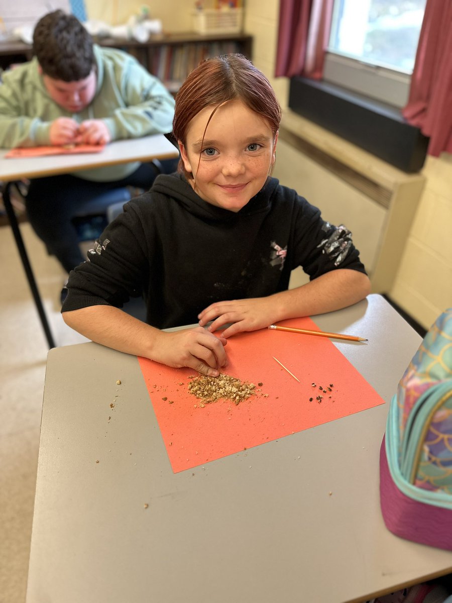 Ms. Mitchell tweet media