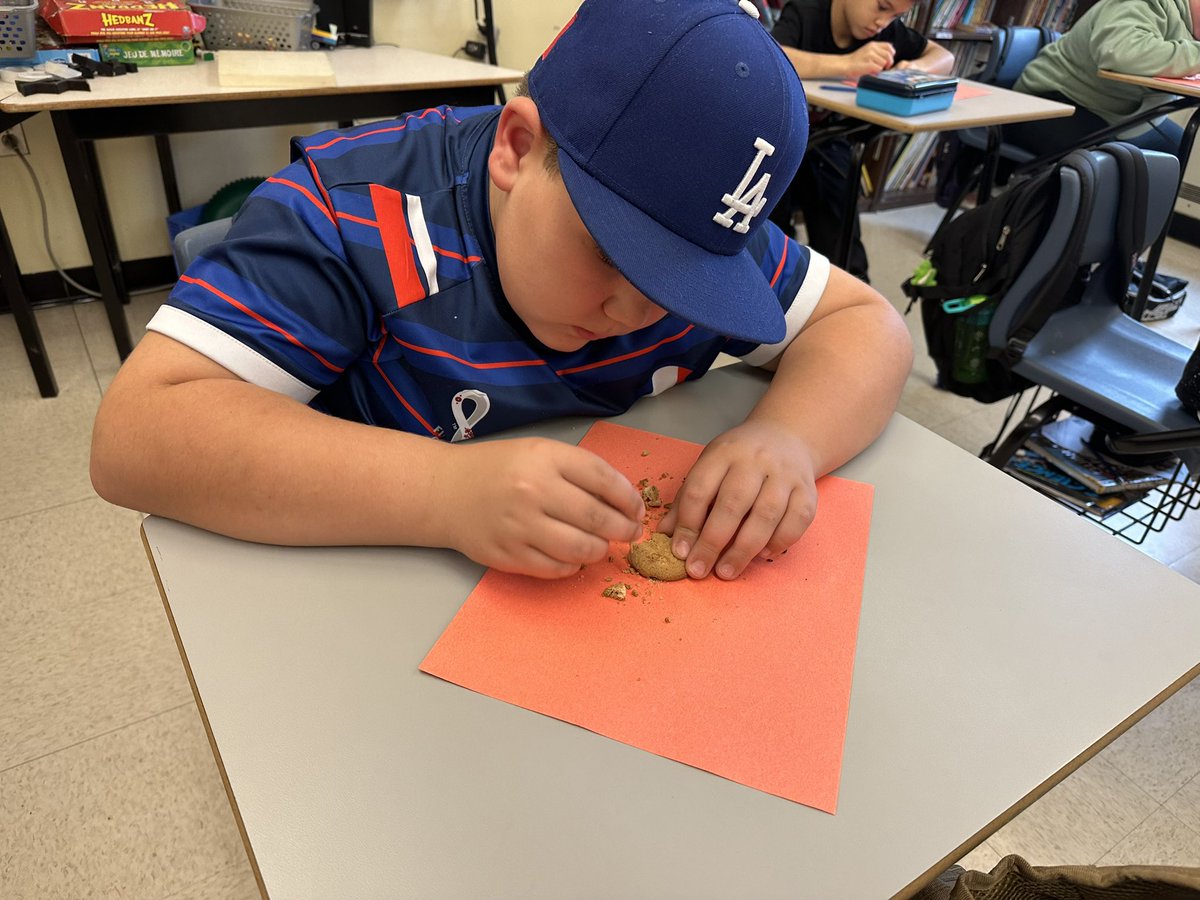 Ms. Mitchell tweet media