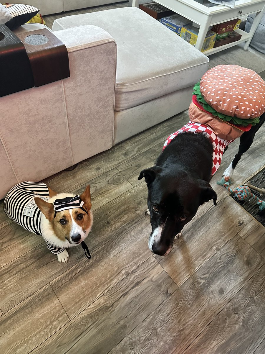 thebalroghunter's tweet photo. Happy Halloween 🎃 https://t.co/C7WWz6XRyg