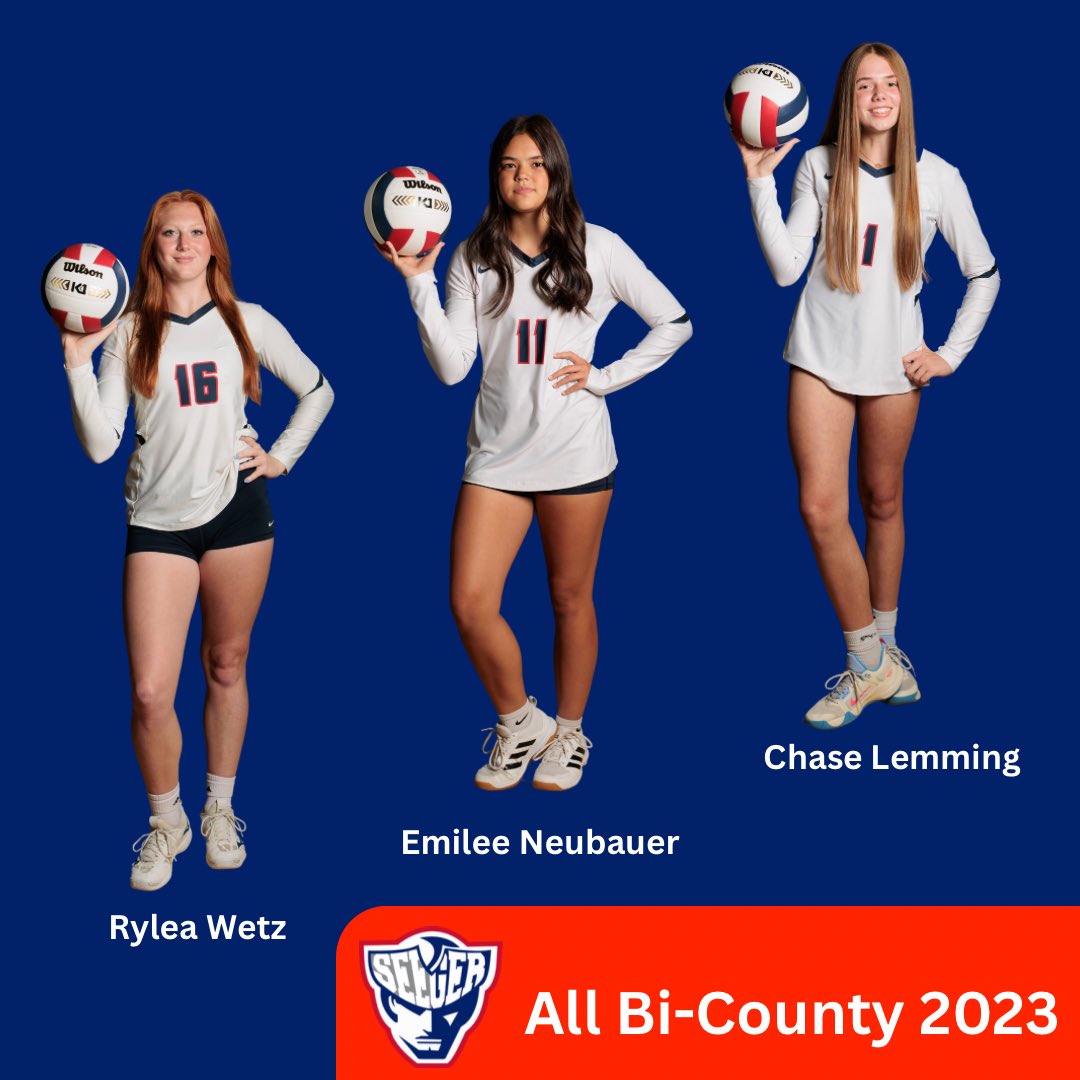❤️🏐💙