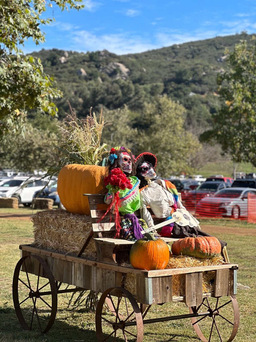 EmmaEpper's tweet image. Happy Halloween, and I would like to ask, is it normal for a child like me who is over 360 months old to want to participate in trick-or-treating?