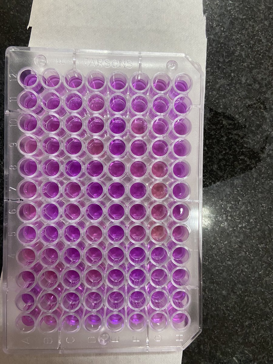 shamikr's tweet photo. First photo: Start of field work 

Second photo: Last day of sampling from Chicham village pointing towards Kibber village.

Third photo: 96 well plate with cresol red dye to quantify microbial functions. (5/5) https://t.co/92NG1Z4np1