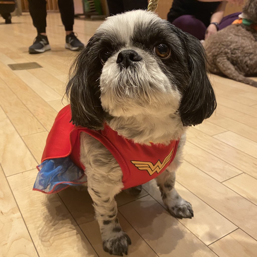 It’s safe to say that there’s no such thing as a ruff day at the office for these pups! Thank you for stopping by (all dressed up!) for the staff stress-buster event put on by Where Wellness Works! @IgorPugDog