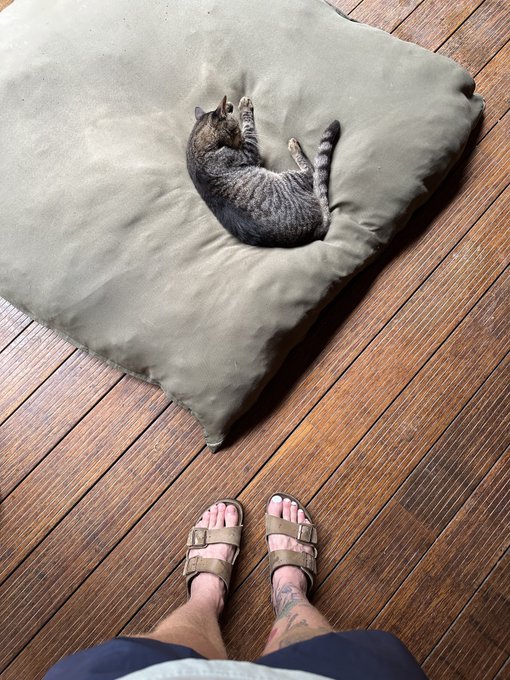 To be a cat at a vibey Costa Rican hostel ✨ https://t.co/OA4anjL7lM<a href="/tag/mvsales"class="tags"><span>#mvsales</span></a>