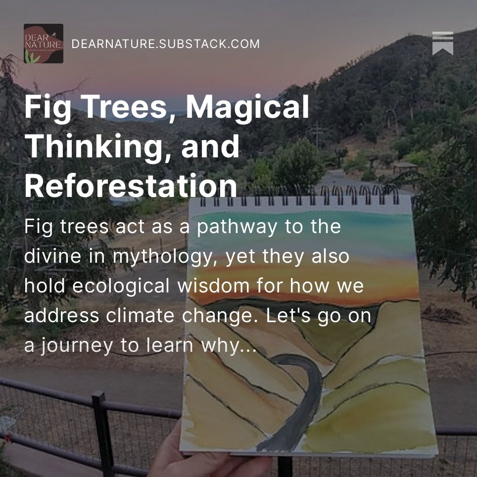 Alison E. Berman 🌎 tweet media