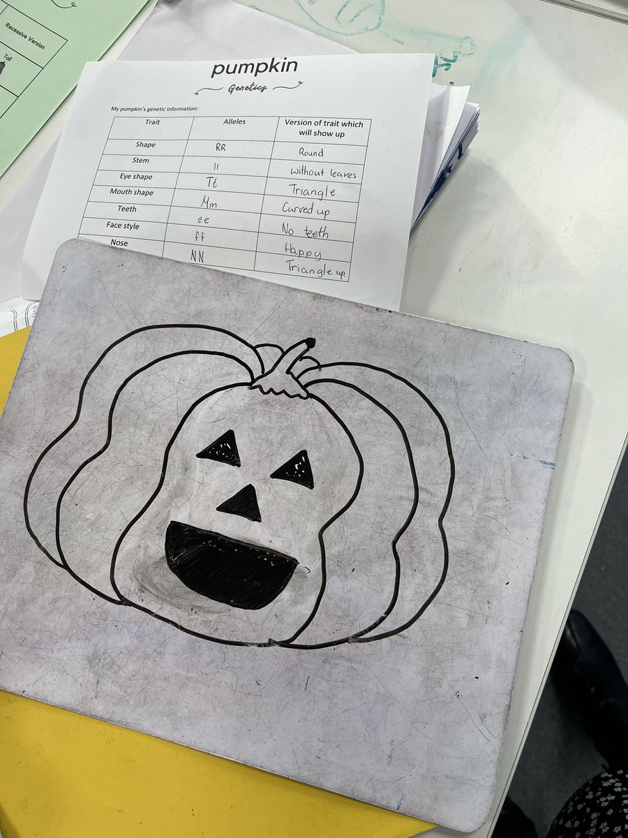 Ms Diamond tweet media