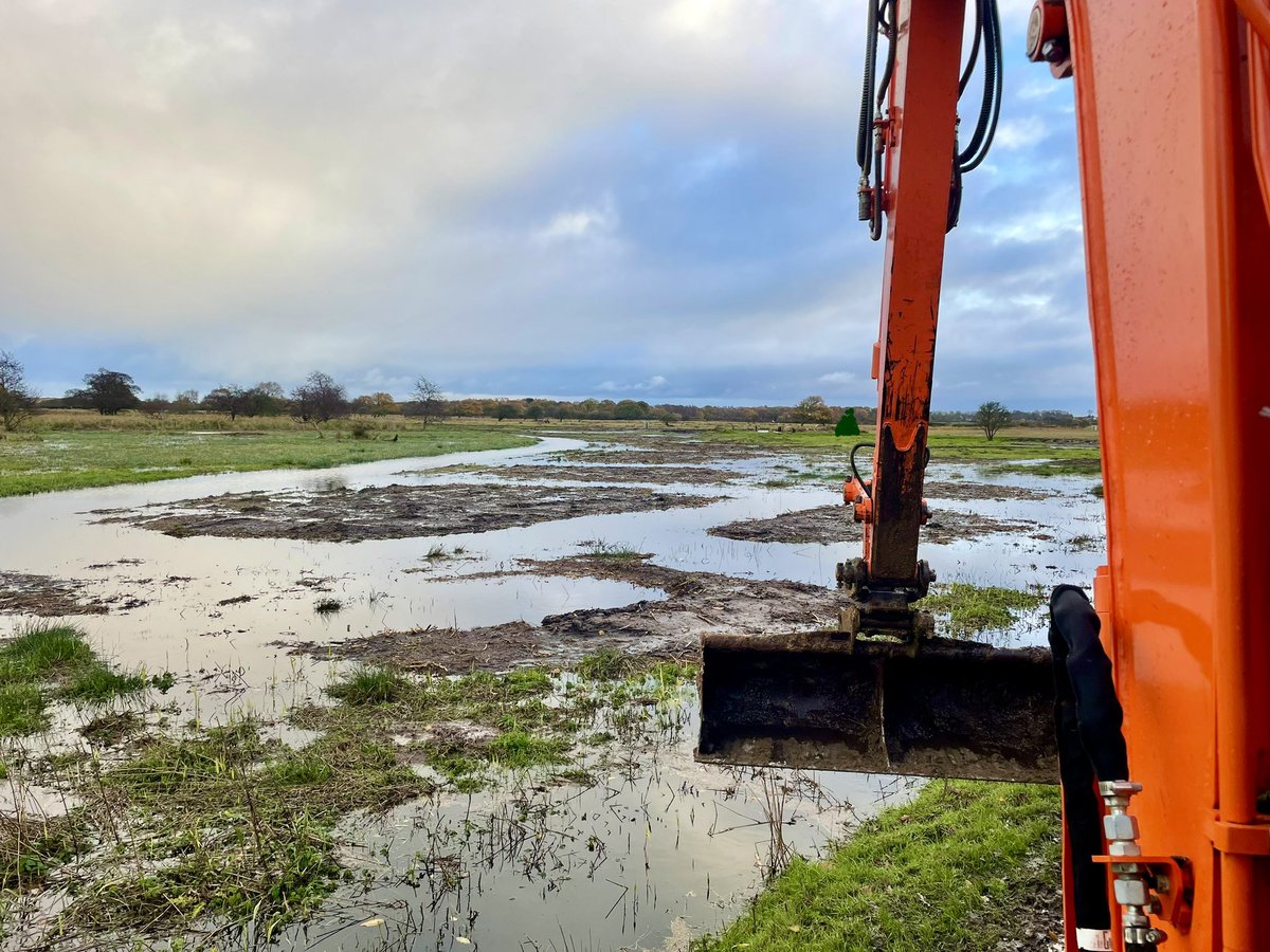 November is nearly here and brings more news! Our #wetland project is now complete. Excited to embark on the next one! Thanks to all involved it’s been a pleasure! 

#Wetlandcreation
#environmentalconservation 
#wetlands 
#FRAprojectsltd
#teamworkwins