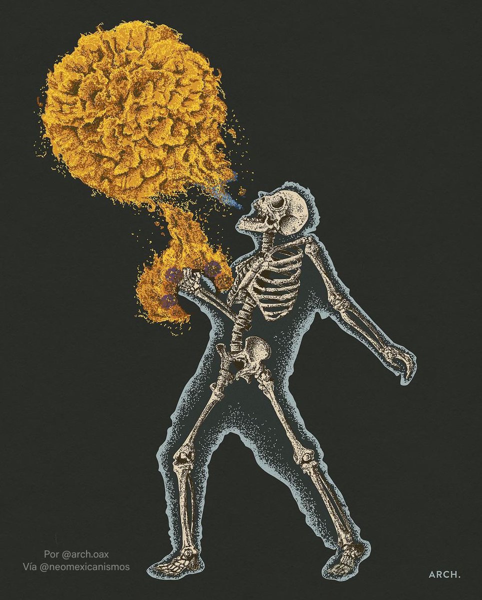 NeoMexicanismos's tweet image. Sus pétalos guardan el calor del sol e iluminan el camino de regreso a los difuntos

:::&amp;gt; bit.ly/Cempasuchil

#neomexicanismos