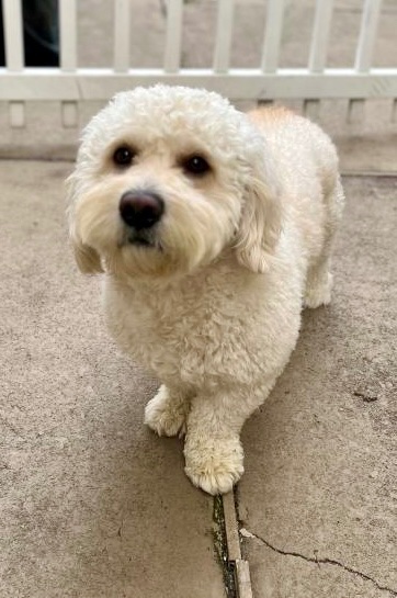 Keith Olbermann tweet media