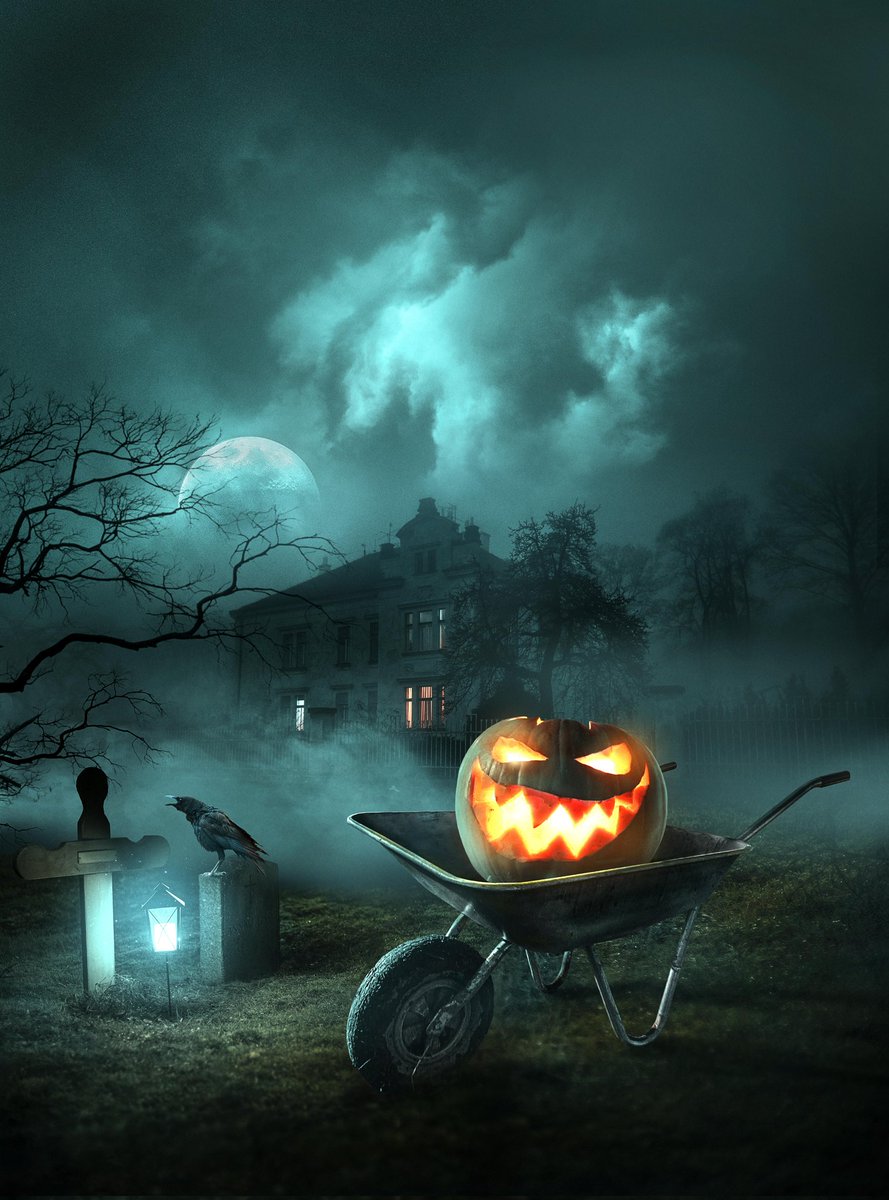 LaMissblonde_tw's tweet photo. C'est partie pour le live #halloween vient voir quel jeu sera joué pour cette soirée 🎃
https://t.co/1X972cMeVy
#twitchgirls #twitchstreamer #gameur #game #streaming #girl #geekgirl #gameuses #streamfr #streameur #littlenightmarres #streameusefr #live #streameuse #twitch https://t.co/VfI4wTC43J