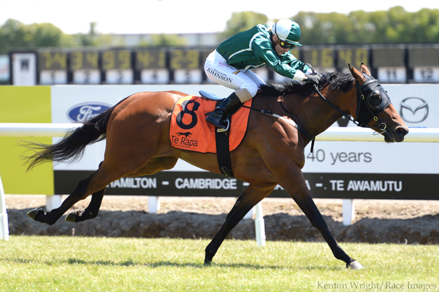 Bloodstock's tweet photo. Vitesse won a single race for her Challenge Syndicate from the stable of Shaune Ritchie - it's as a broodmare that she is shining.  Her son KOVALICA is already a Group One winner and chases the A$10m purse of Saturday's Golden Eagle.

Challenge Syndications - Established 2012 https://t.co/MsM0SxKWLh