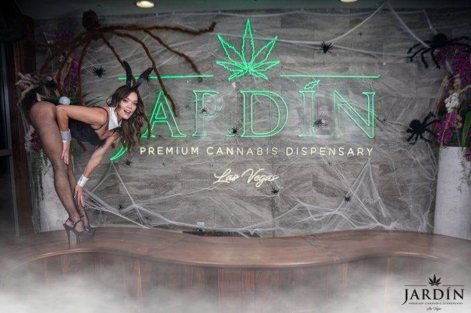 Bootacular🐰🎃👻  @Jardin_LasVegas https://t.co/AJM9lWTK3a<a class="tags" target="_blank" title="On Twitter" href="/?out=eyJ0eXAiOiJKV1QiLCJhbGciOiJIUzUxMiJ9.eyJpYXQiOjE3MTk3MDg3MTAsImlzcyI6InR3cG9ybnN0YXJzLmNvbSIsIm5iZiI6MTcxOTcwODcxMCwiZXhwIjoxNzUxMjQ0NzEwLCJyZWRpcmVjdF91cmwiOiJodHRwczovL3R3aXR0ZXIuY29tL0phcmRpbl9MYXNWZWdhcyJ9.FixjkzE9JcsfMSnN_vXUkBefqfpGJbayxzusLUvO1uoDJT-Z2BLDNMigOFVseod24Nn53MnMgW6050610RNxuQ">@Jardin_LasVegas</a><a href="/tag/mvsales"class="tags"><span>#mvsales</span></a>