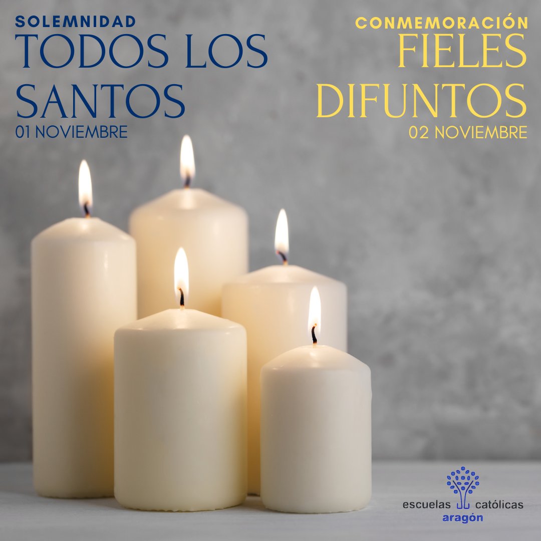 El día de Todos los Santos es, sobre todo, el día de los santos anónimos, muchos de ellos miembros de nuestros colegios, familias, congregaciones y comunidades.
Es una oportunidad para recordar la llamada a la santidad presente en todos los cristianos.
