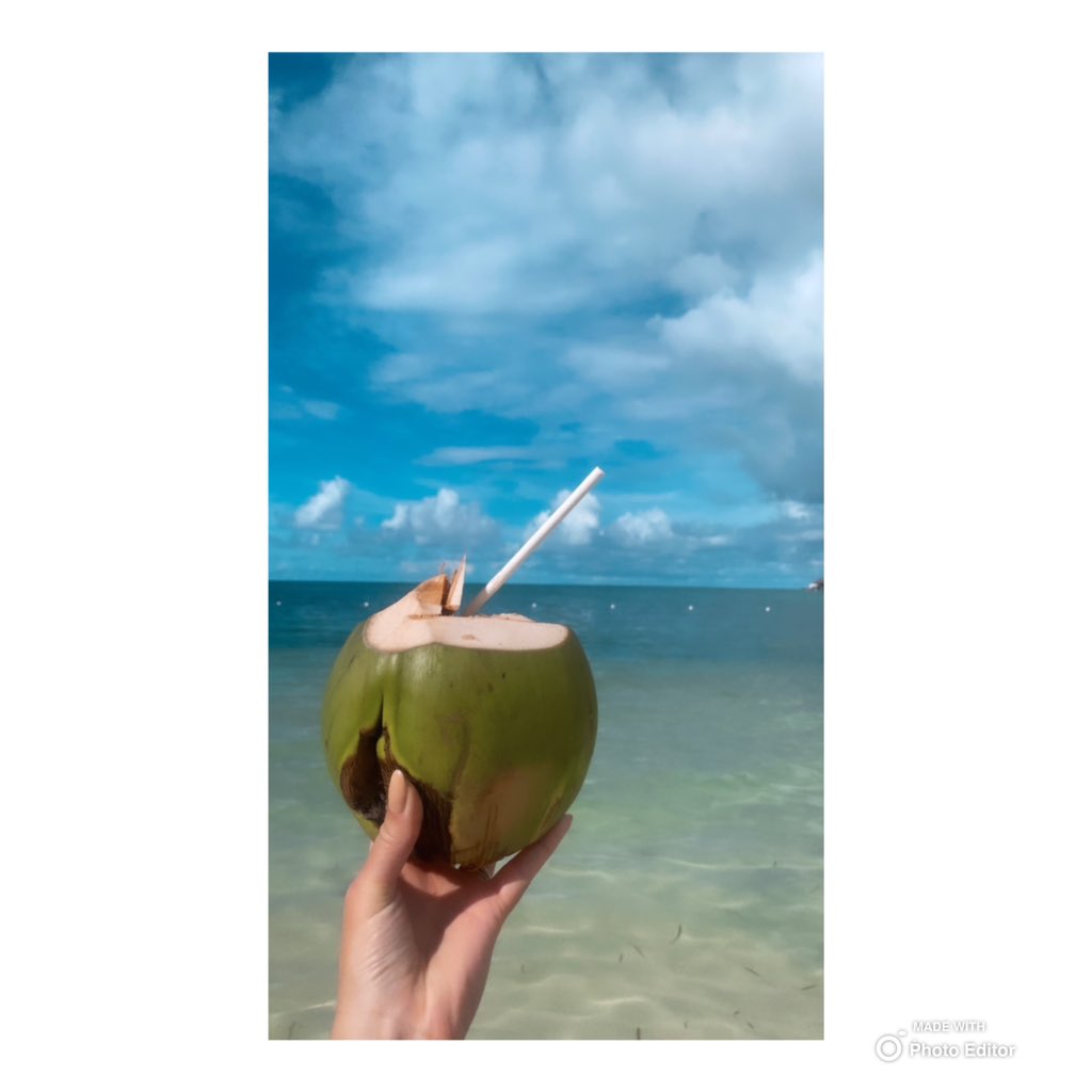 MrsHickmanY6_'s tweet photo. Just when I thought Jamaica couldn’t impress me any further, this incredible human, climbed bare foot, up a palm tree to retrieve a coconut for me! 🥥🌴 This island has fully stolen my heart 💞 x #RiuReggae #Jamaica #Paradise x https://t.co/wD25vGrqjI