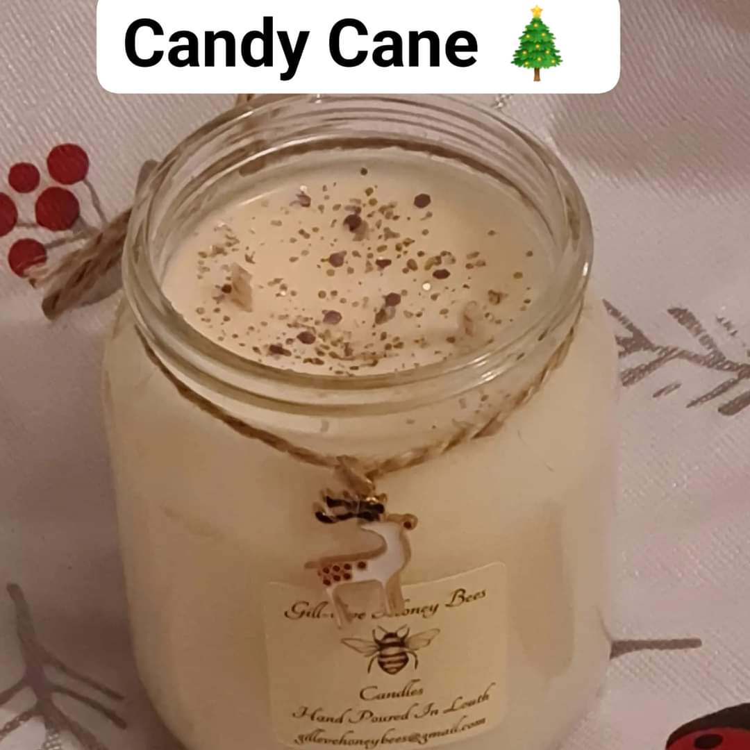 eve_bees's tweet photo. We've just added these adorable Candy Cane Soy Wax Candles to our website.
https://t.co/oZqgy5Aaof

#MHHSBD #lincsconnect https://t.co/Ar06px3jsg