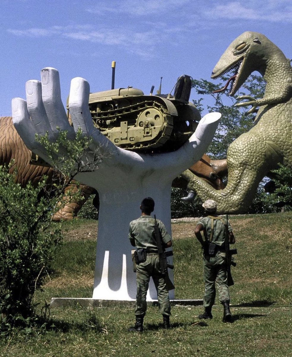 In the early 1980s, infamous drug lord Pablo Escobar created a family zoo full of exotic animals in Colombia, including rhinos, giraffes, zebras and hippos. When Escobar's empire crashed in the 90s, the animals were relocated to zoos except for the four hippos, now considered an