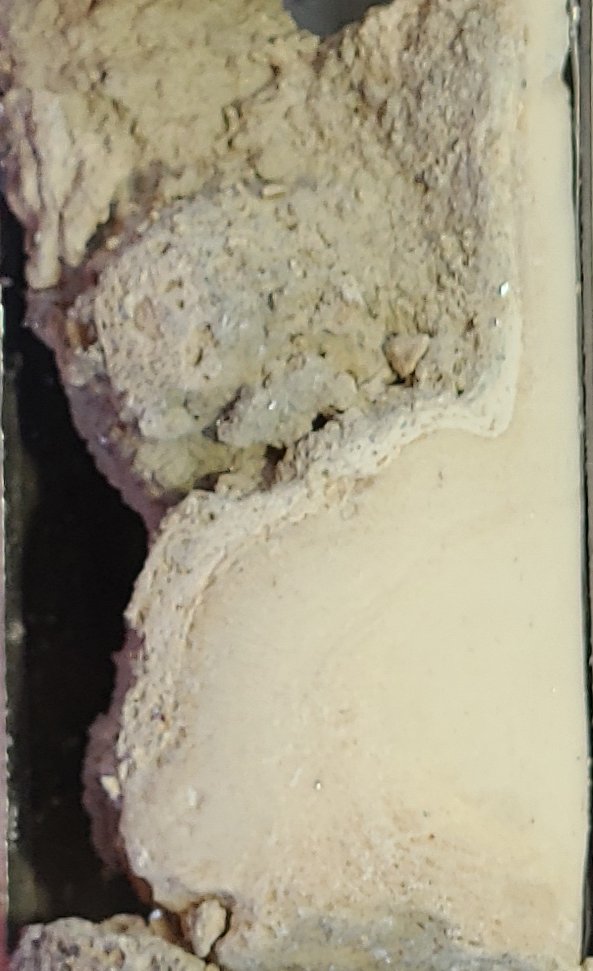 Christina Ravelo tweet media