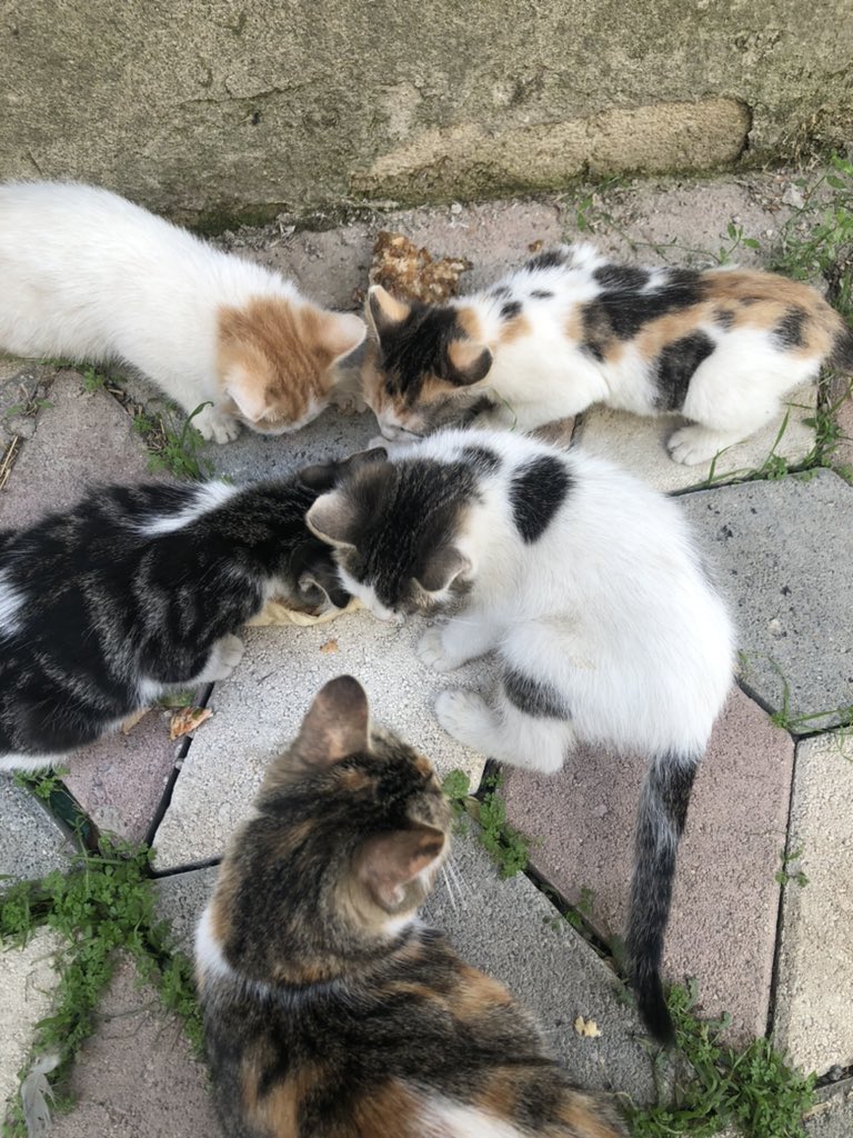 Sanat  \ Sanatçı