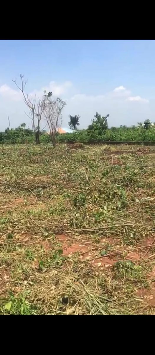 FOUR personalities you MUST contact when purchasing a landed property: 

1. A Lawyer
2. A Surveyor
3. A Land Valuer
4. A Local drunkard from the Area who will tell you the truth and history that's not available in the official records.

Note: Number 4 is very essential.