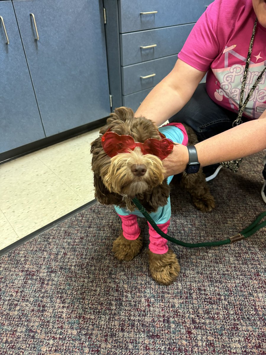 the_claww's tweet photo. Happy halloween from the Orchard Hills barbie’s/ barbie dog! 💕💓 https://t.co/CgxgavhUOt