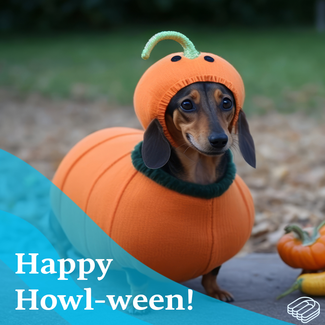 blendable_ca's tweet image. Happy Howl-ween!🐾🎃

Hopefully we don&apos;t have to wear our jackets over our costumes this year..

Wherever you are, we hope you enjoy the spookiest holiday of them all!

#howlween #halloween #spookyseason #halloween2023
